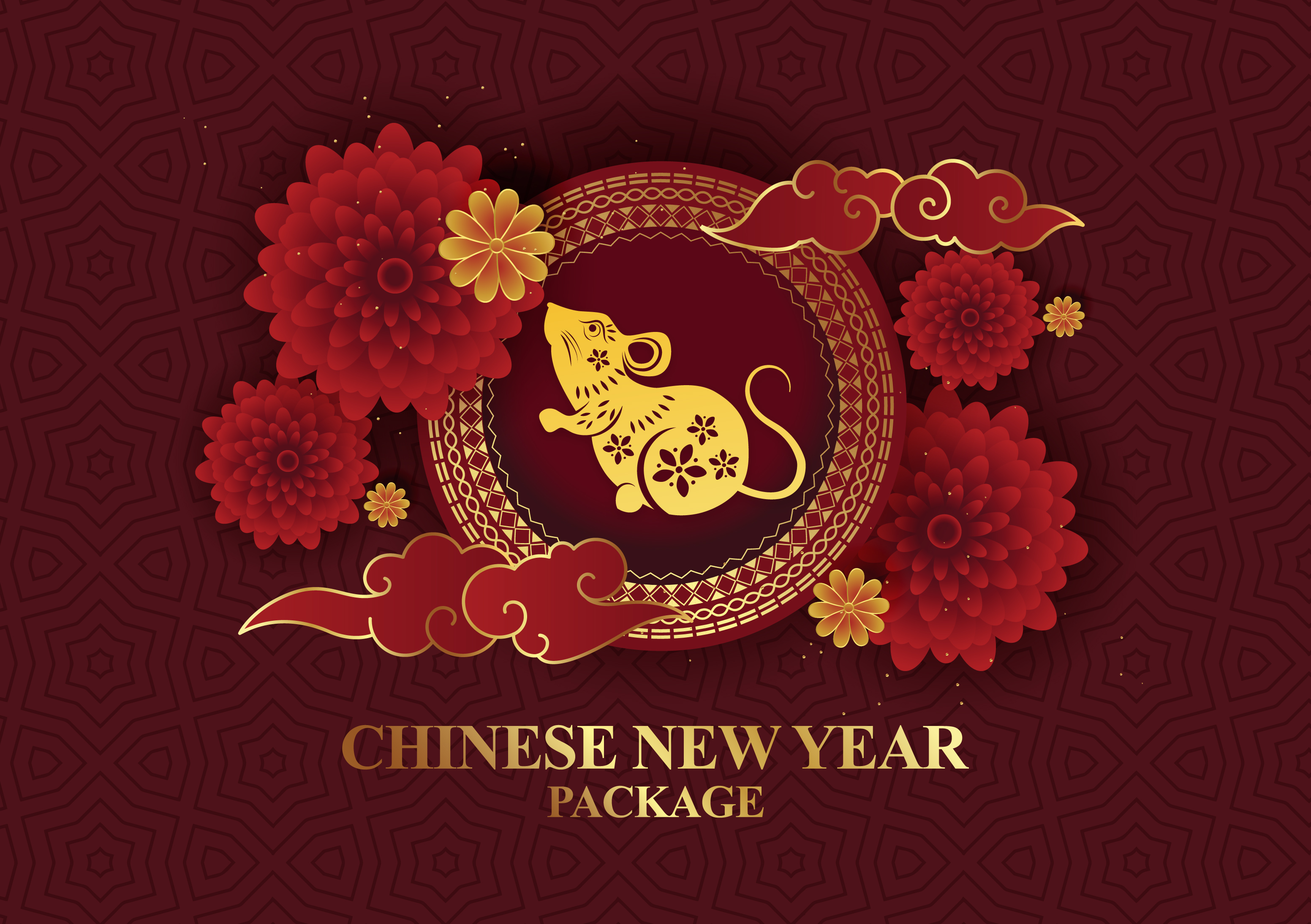 Chinese New Year Package